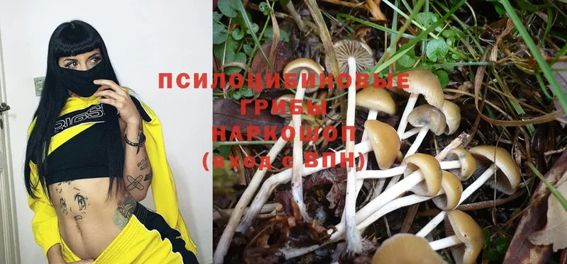 Галлюциногенные грибы Magic Shrooms  Данилов 